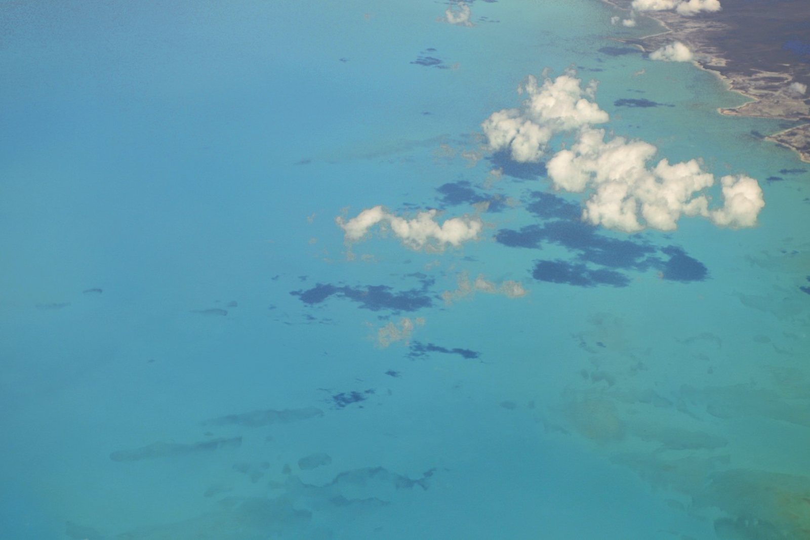 Andros: Blue Holes & Bonefish Flats